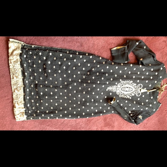 Chiffon Pakistan Indian Salwar Kameez - Picture 4 of 7